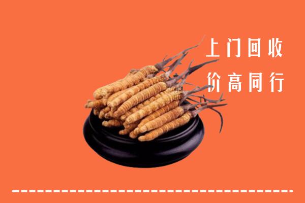 附近收购：定西市冬虫夏草回收多少钱每克