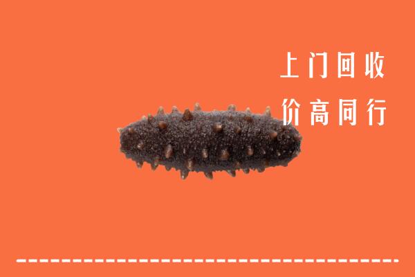 高价求购：定西市回收海参